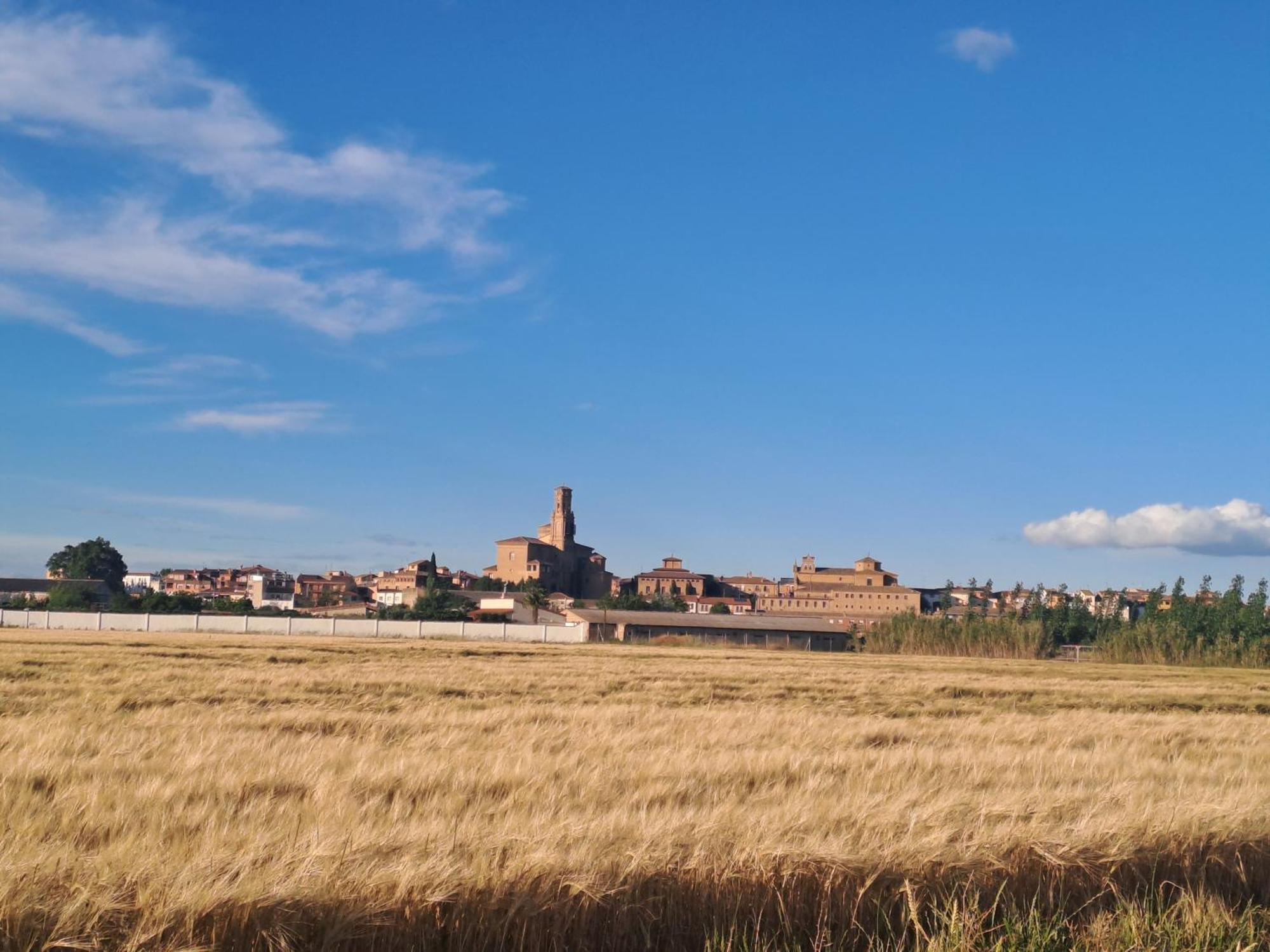Apartamento Rural Las Canas Esencia De Bardenas Villafranca 外观 照片